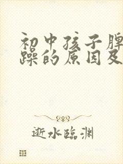 初中孩子脾气暴躁的原因及处理方法