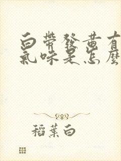 白带发黄有恶臭气味是怎么回事