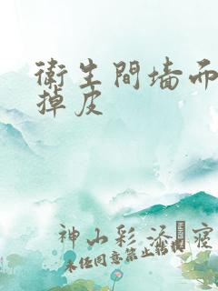 卫生间墙面渗水掉皮