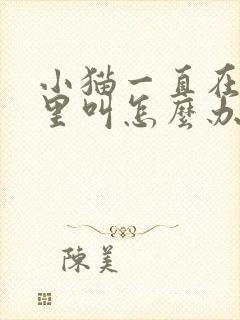 小猫一直在笼子里叫怎么办