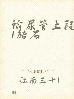 输尿管上段1.1结石