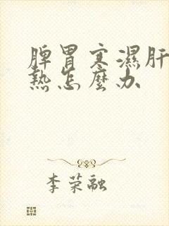 脾胃寒湿肝胆湿热怎么办