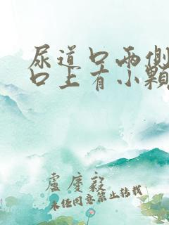 尿道口两侧阴道口上有小颗粒