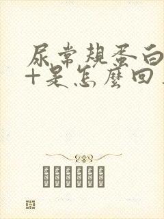 尿常规蛋白质2+是怎么回事