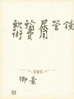 软输尿管镜取石术费用