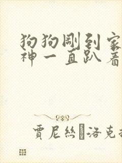 狗狗刚到家没精神一直趴着