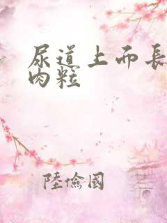 尿道上面长了小肉粒