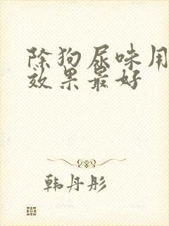 除狗尿味用什么效果最好