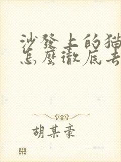 沙发上的猫尿味怎么彻底去除