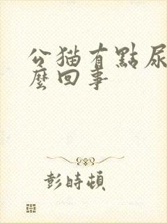 公猫有点尿血怎么回事