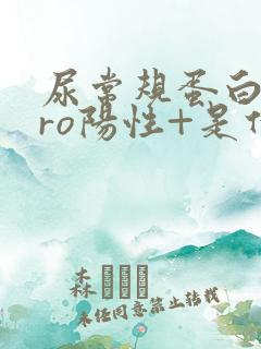 尿常规蛋白质pro阳性+是什么意思