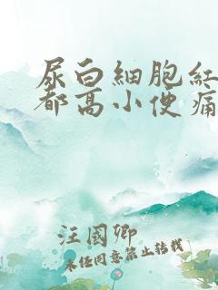 尿白细胞红细胞都高小便痛