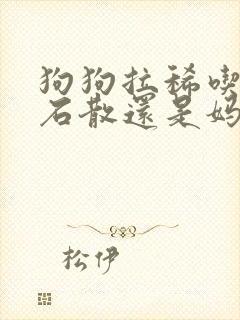 狗狗拉稀吃蒙脱石散还是妈咪爱