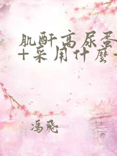 肌酐高尿蛋白2+采用什么方法治疗