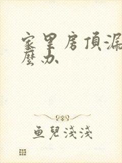 家里房顶漏雨怎么办