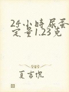 24小时尿蛋白定量1.23克