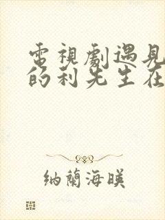 电视剧遇见爱情的利先生在线观看