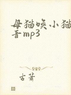 母猫唤小猫的声音mp3