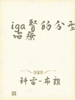 iga肾的分型治疗