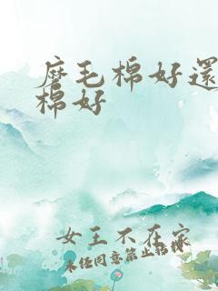 磨毛棉好还是纯棉好