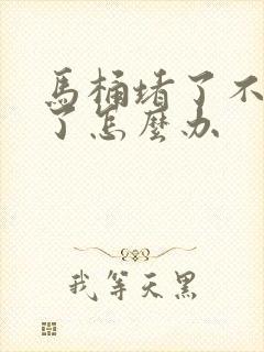 马桶堵了不下水了怎么办