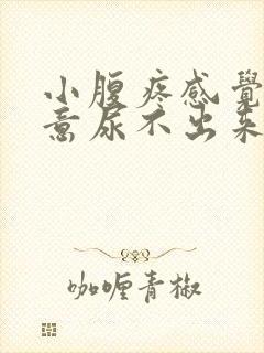 小腹疼感觉有尿意尿不出来