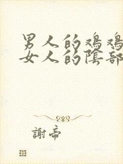 男人的鸡鸡插进女人的阴部