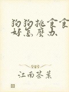 狗狗挑食食欲不好怎么办