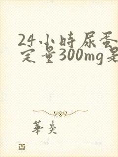 24小时尿蛋白定量300mg是多少克