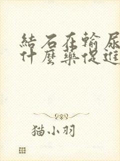 结石在输尿管吃什么药促进排石