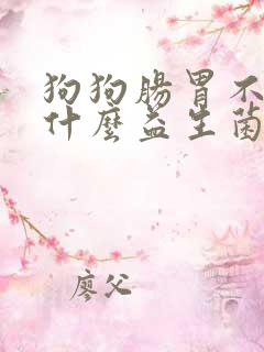 狗狗肠胃不好吃什么益生菌比较好