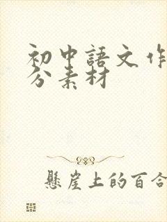 初中语文作文高分素材