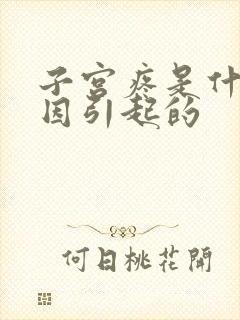 子宫疼是什么原因引起的