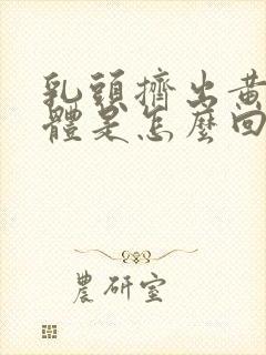 乳头挤出黄色液体是怎么回事?