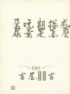 孕晚期总感觉有尿意是怎么回事