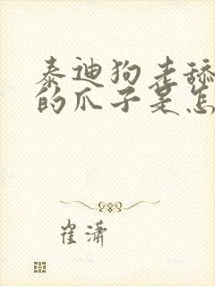 泰迪狗老舔自己的爪子是怎么回事