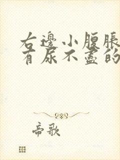 右边小腹胀痛总有尿不尽的感觉什么原因