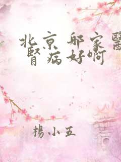 北京 哪家医院 肾病好啊