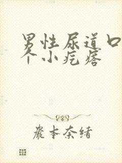 男性尿道口上有个小疙瘩