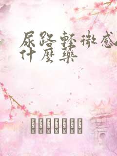 尿路轻微感染吃什么药