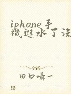 iphone手机进水了没声音怎么办