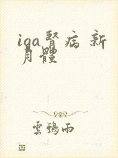 iga肾病 新月体