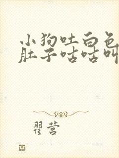 小狗吐白色粘液肚子咕咕叫