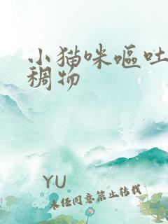 小猫咪呕吐黄粘稠物