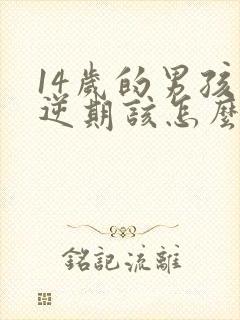 14岁的男孩叛逆期该怎么教