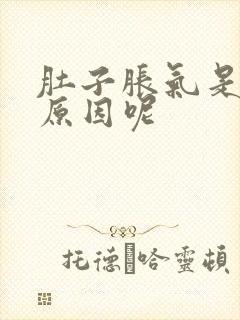 肚子胀气是什么原因呢