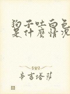 狗子吐白色粘液是什么情况