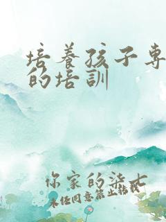 培养孩子专注力的培训