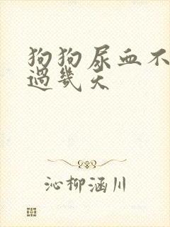 狗狗尿血不能超过几天