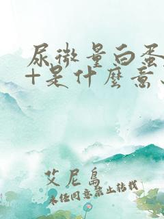 尿微量白蛋白2+是什么意思